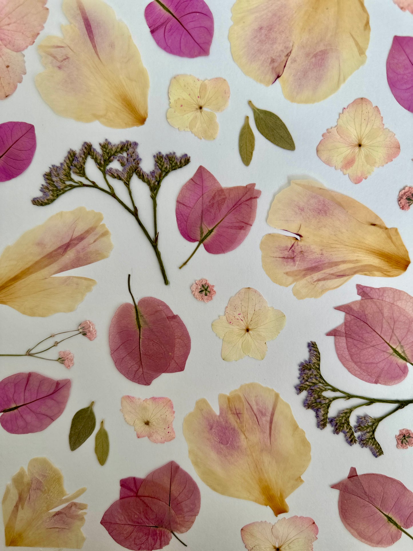 Herbier artisanal PenCée encadré composé de bougainvillier, hortensia et pivoine rose