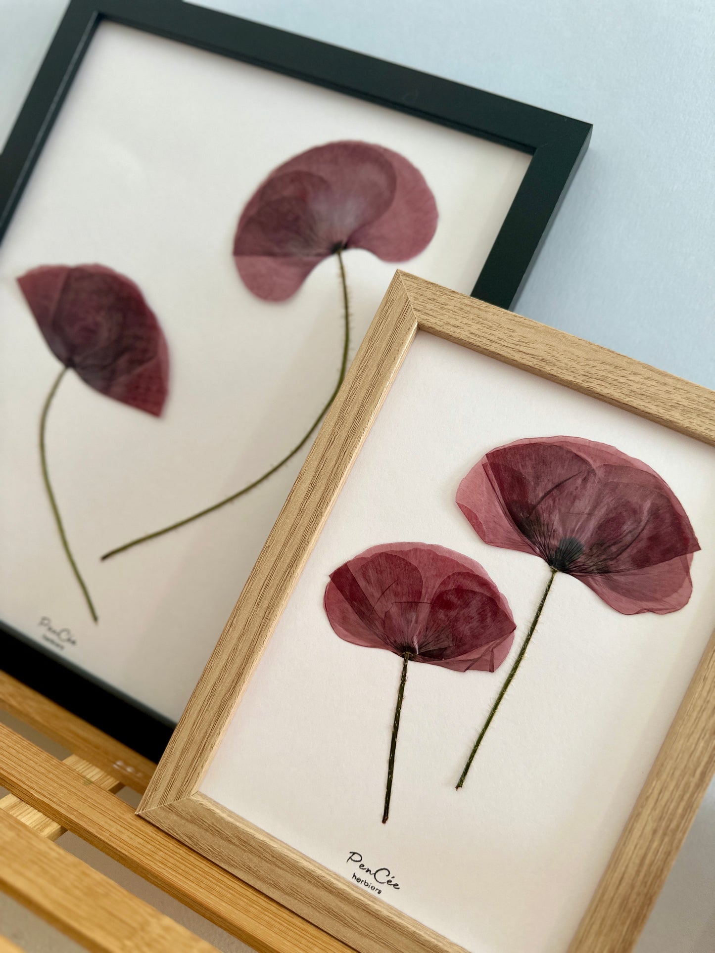 Herbier encadre fait main artisanal PenCée avec fleurs pressées, composé de coquelicots