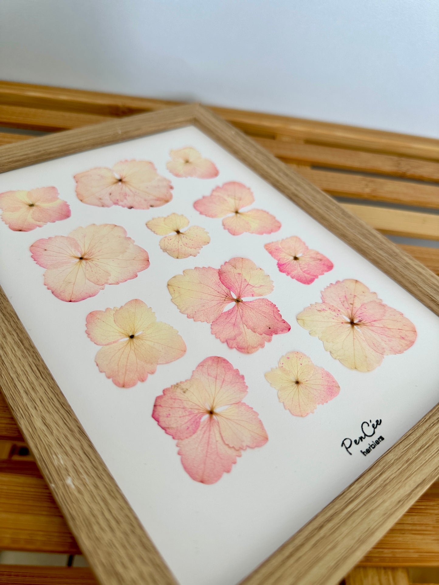 Herbier encadré fait main artisanal PenCée avec fleurs pressées composé d’hortensia rose