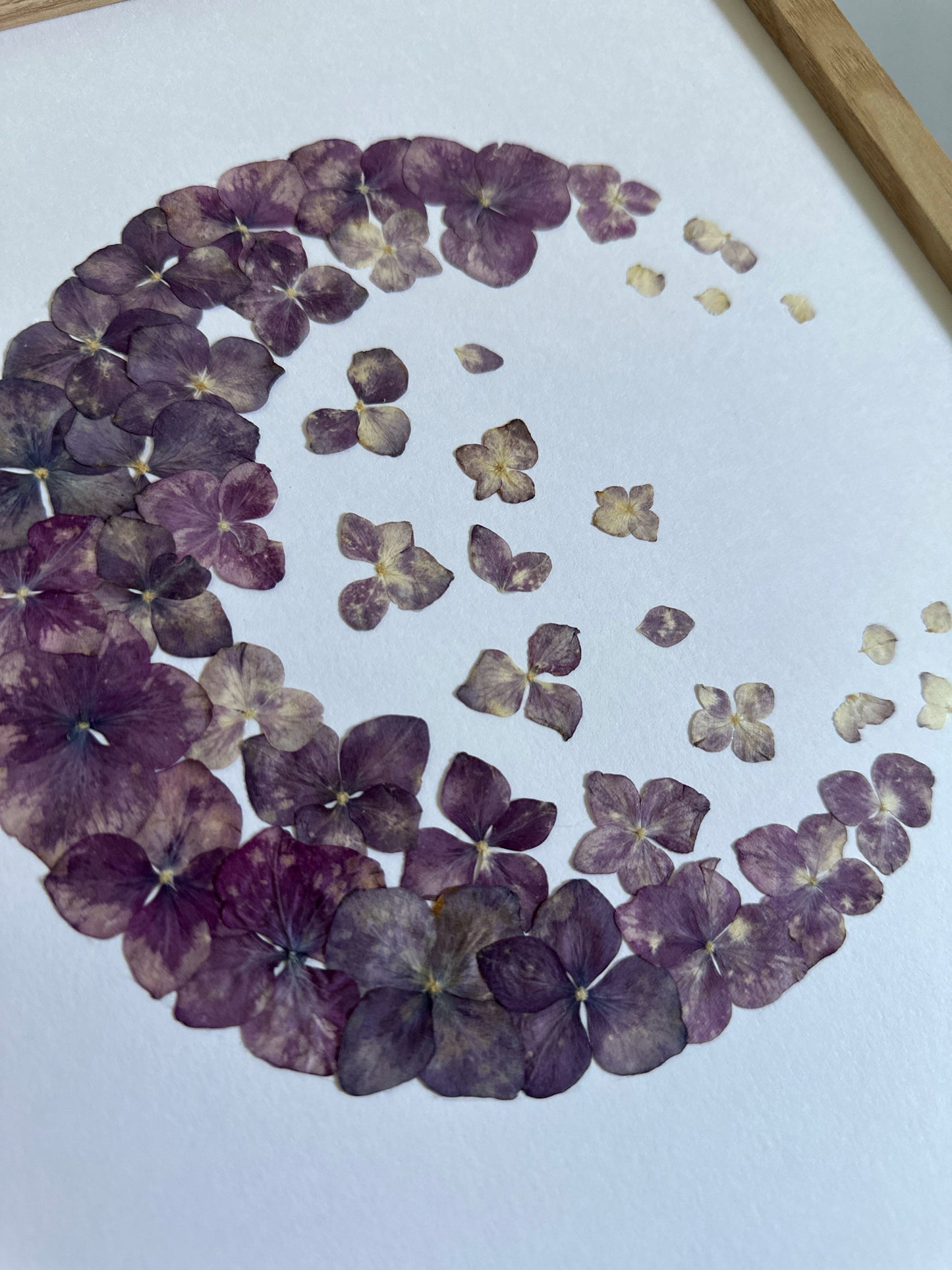 Herbier encadré fait main artisanal PenCée avec fleurs pressées, composé d’hortensias