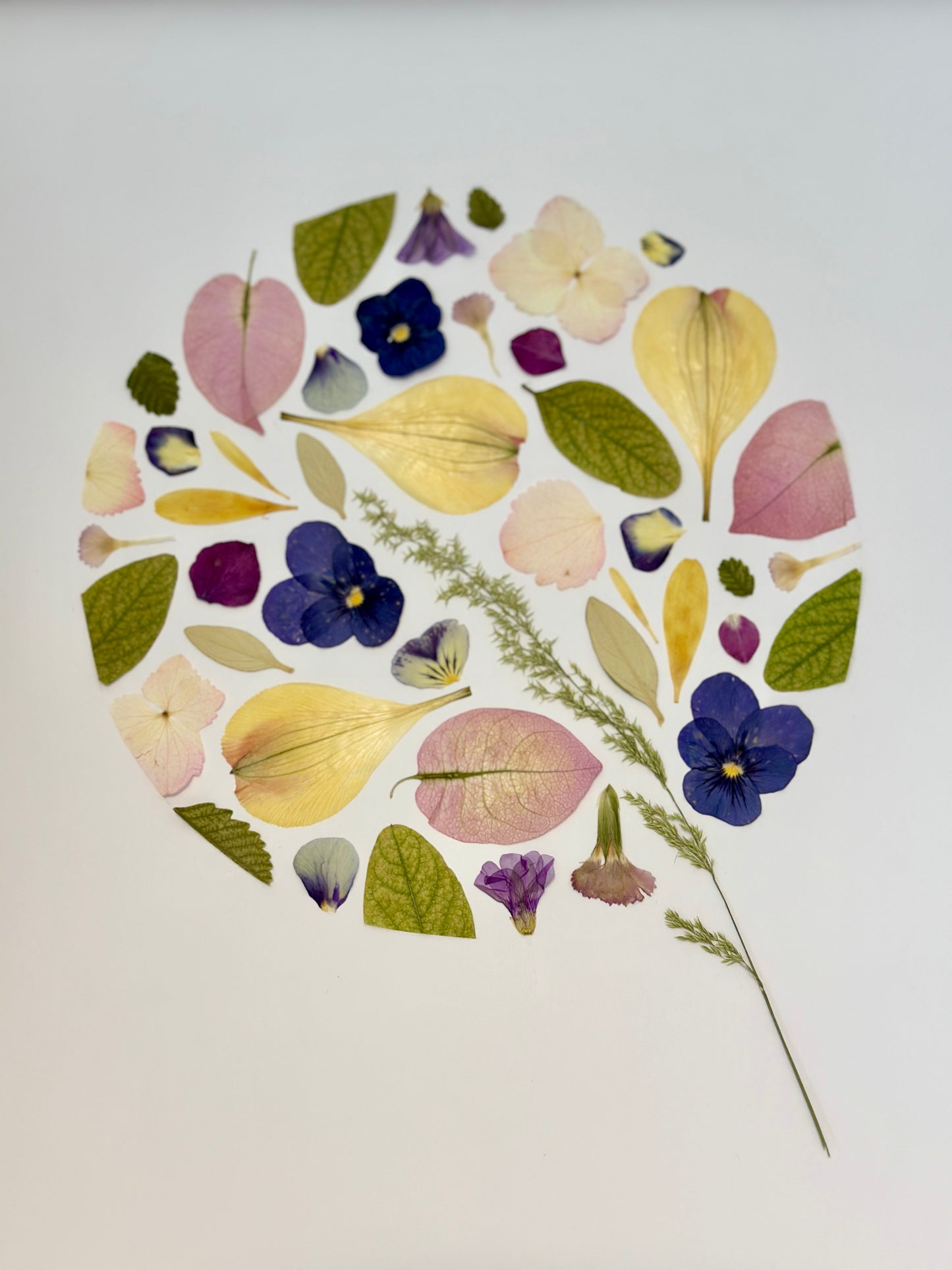 Herbier encadré artisanal fait-main PenCée avec des fleurs pressées et séchées. Composé de pensée, bougainvillier, œillet, acacia, hortensia.