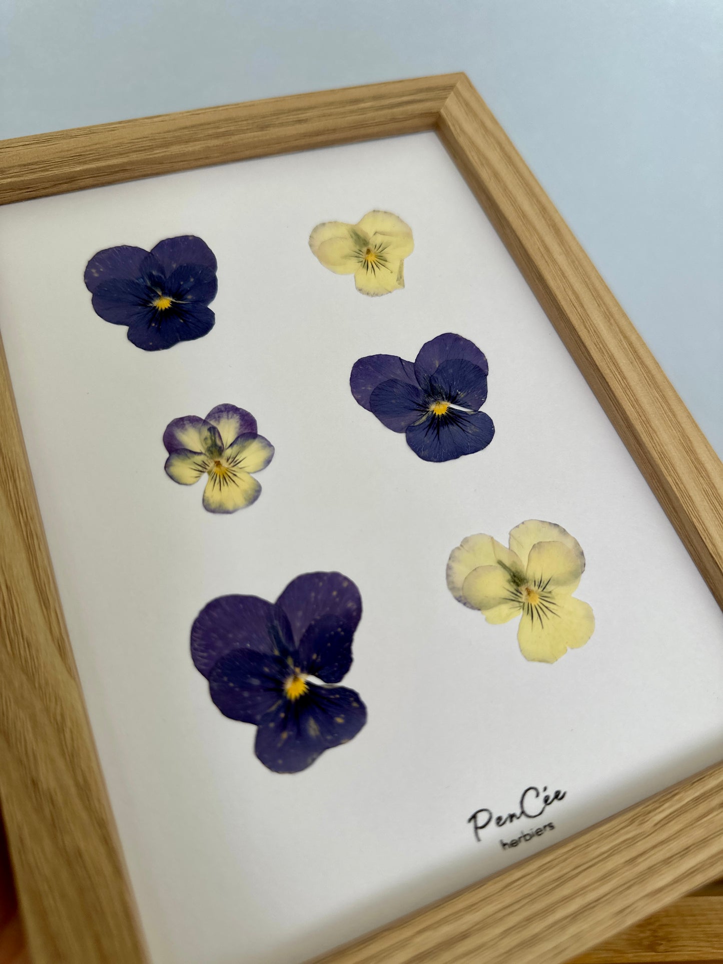 Herbier de fleurs pressées encadré artisanal PenCée composé de pensées