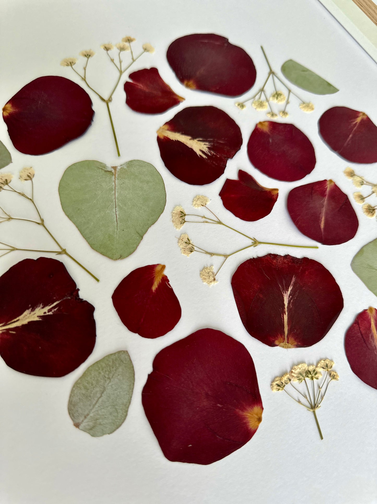 Herbier artisanal de fleurs pressées encadré PenCée composé de rose rouge et d’eucalyptus