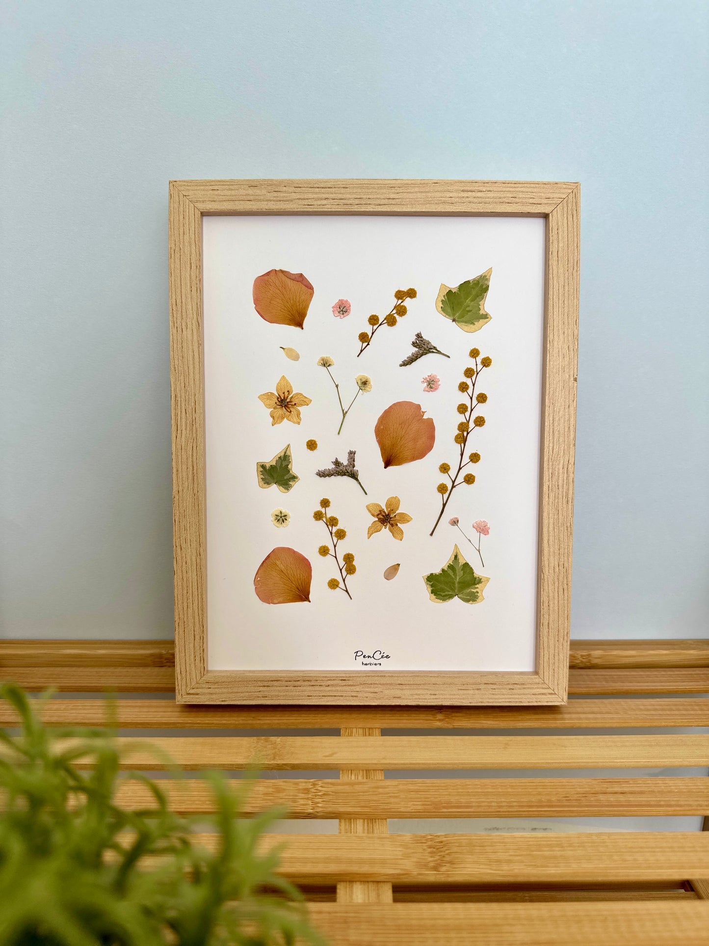 Herbier JARDIN D’ÉTÉ - PenCée
