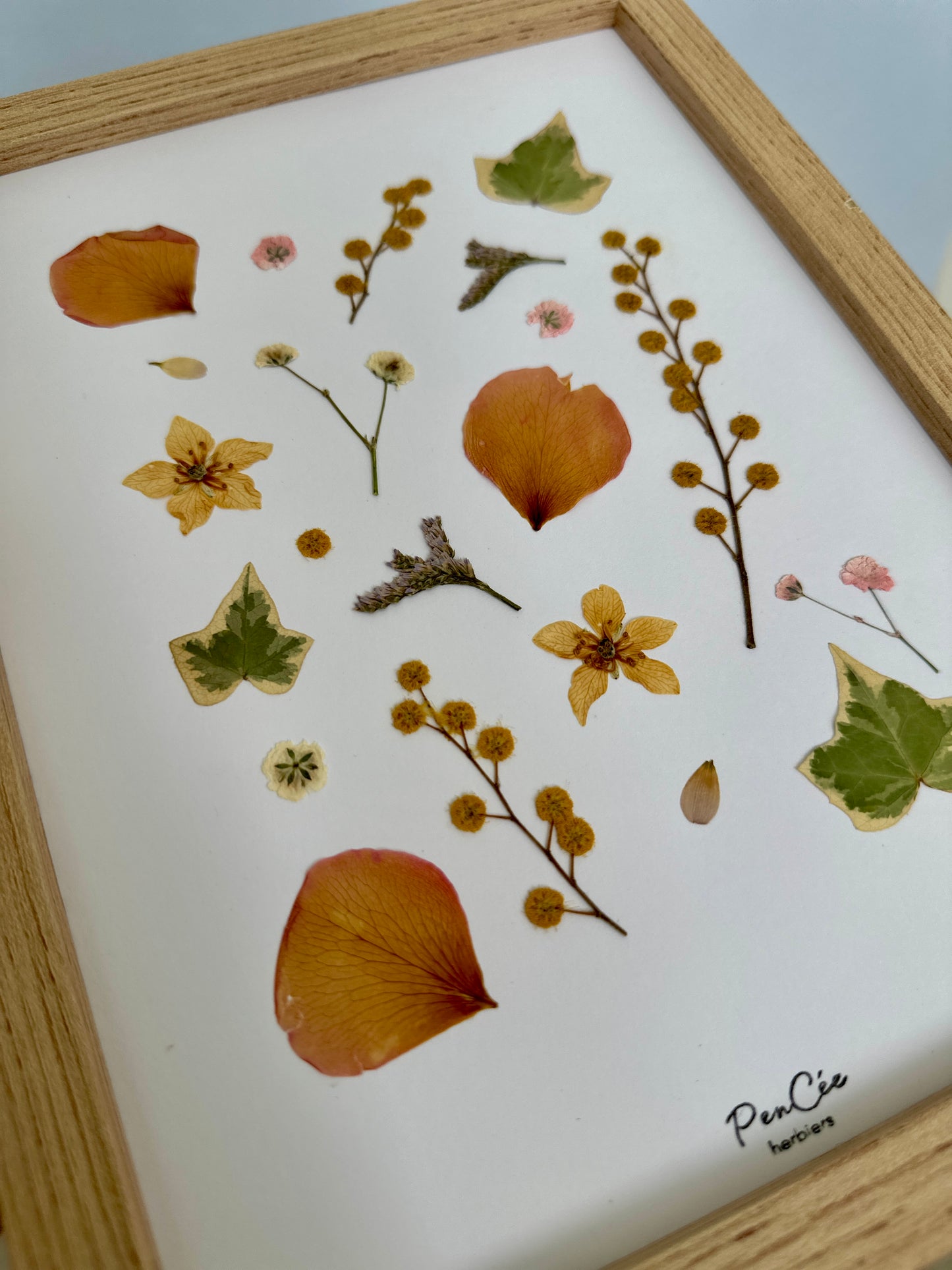 Herbier JARDIN D’ÉTÉ - PenCée