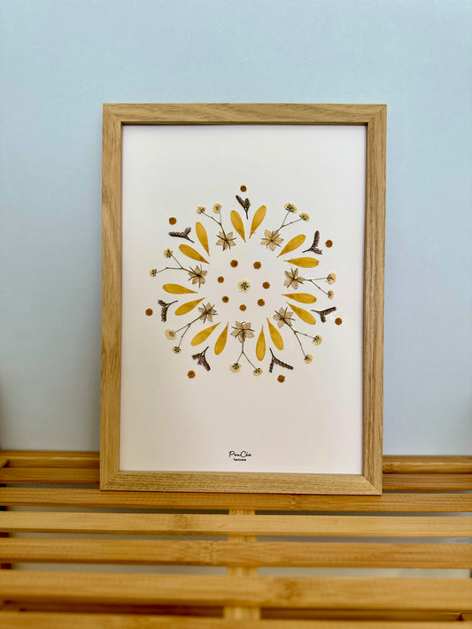 Herbier PenCée SOLEIL