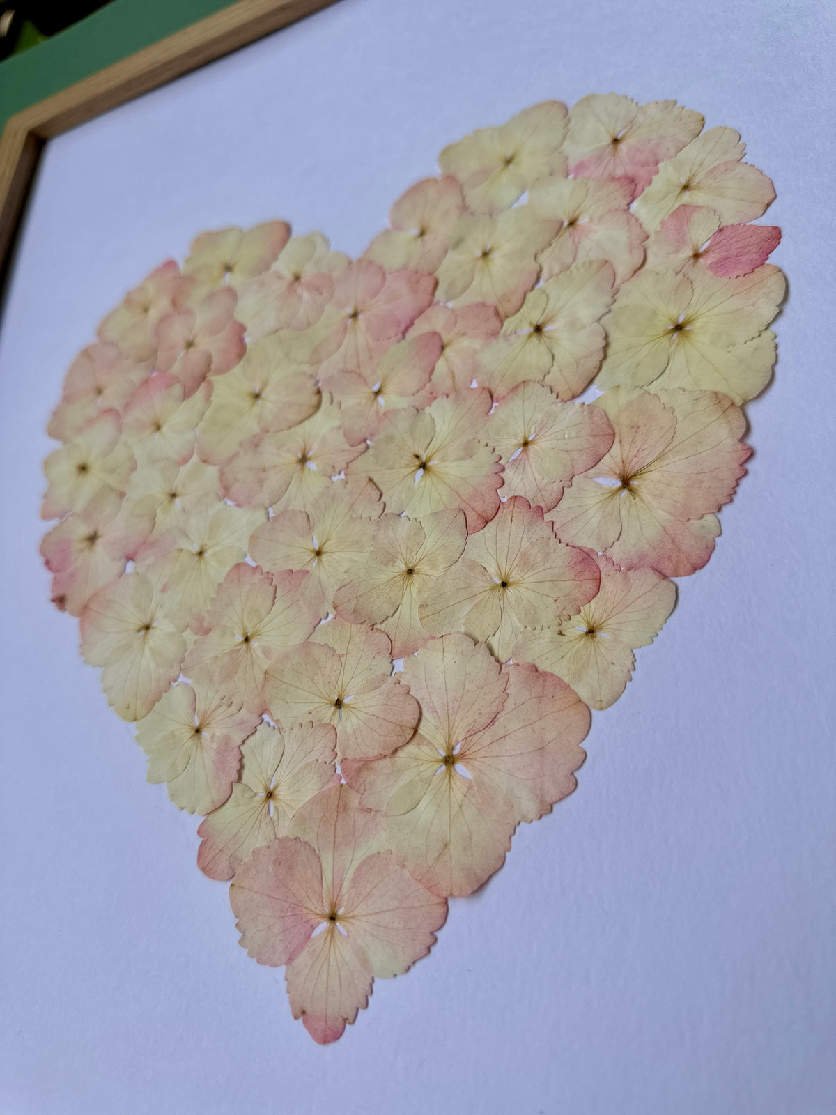Herbier artisanal de fleurs pressées encadré PenCée composé d’hortensias roses en forme de cœur 
