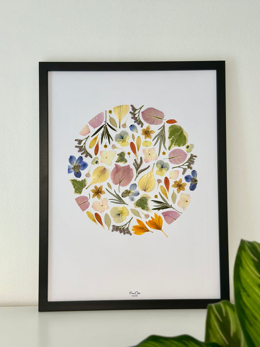 herbier décoratif encadré artisanal PenCée de fleurs pressées et séchées en forme de cercle. Composé de bougainvillier, crocus, hortensia, pensée, dauphinelle. 