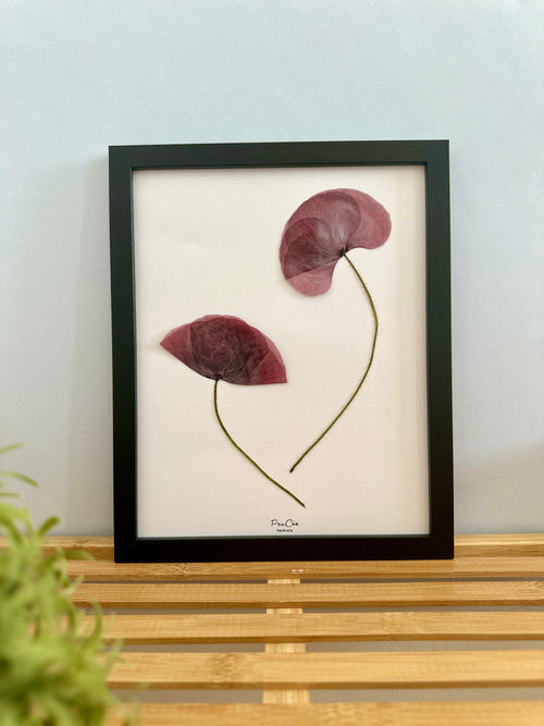 Herbier fait main encadré artisanal PenCée avec fleurs pressées, composé de coquelicots 