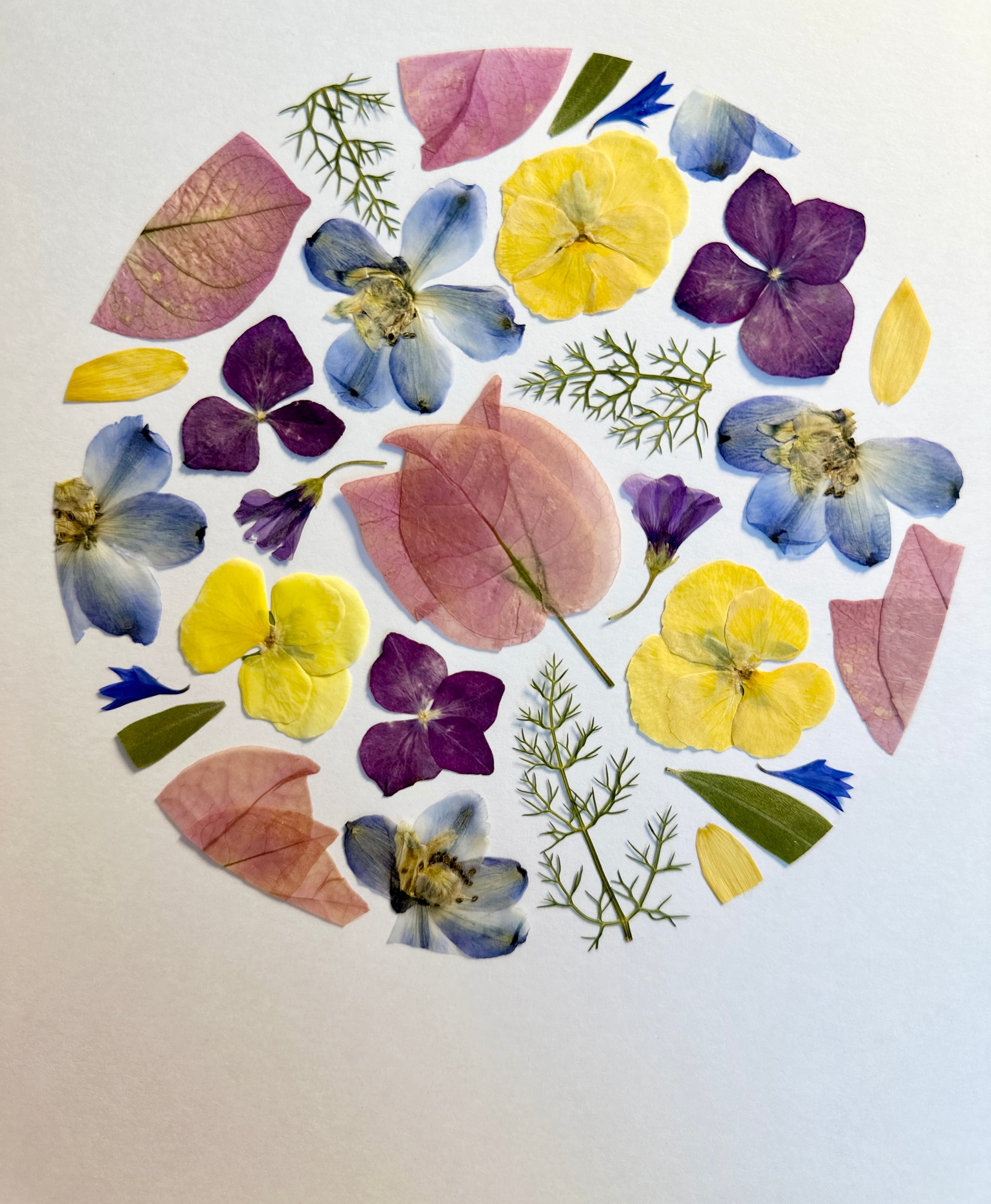 herbier artisanal de fleurs pressées encadré PenCée composé de dauphinelles, hortensia, bougainvillier, pensée et bleuet