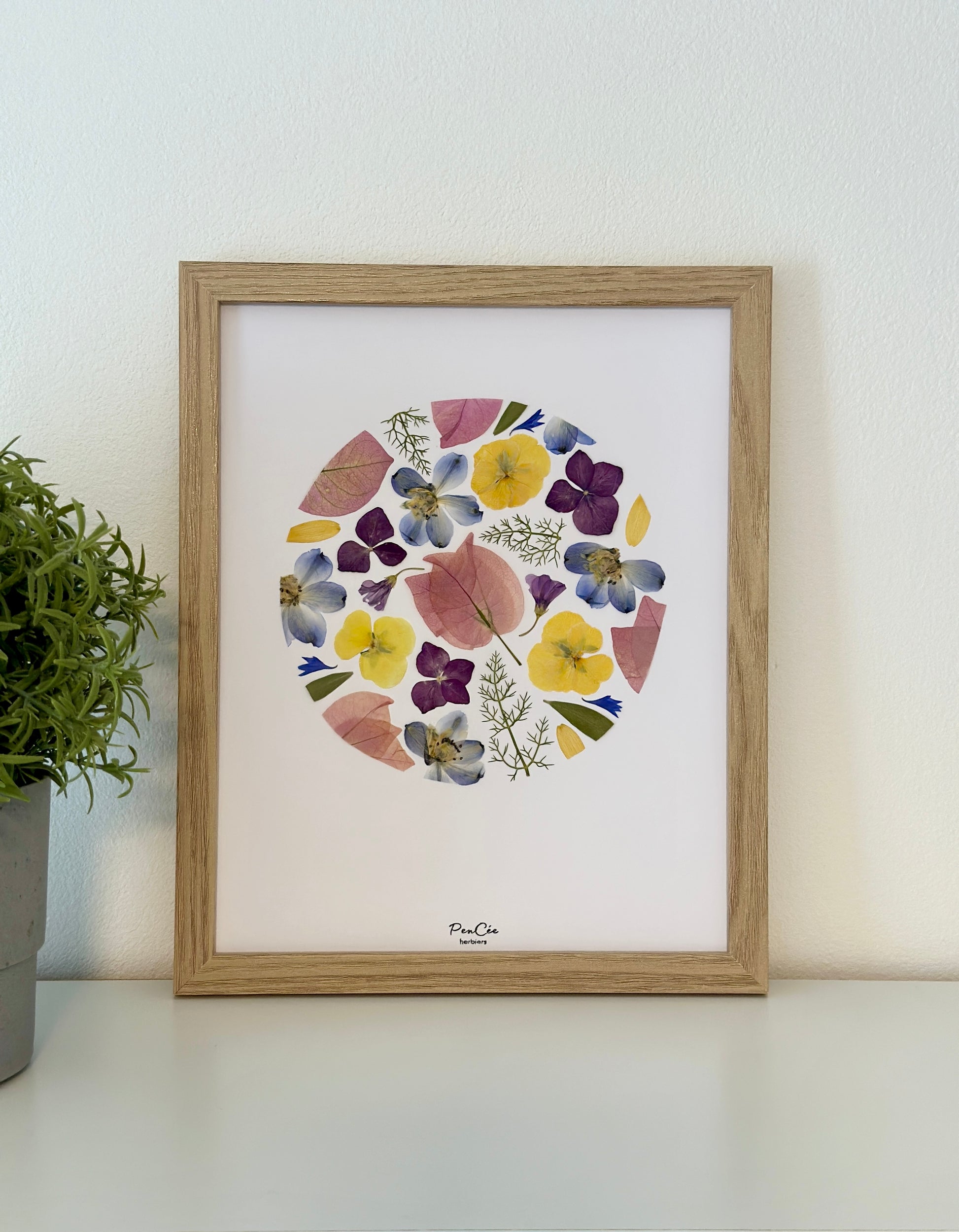 herbier artisanal de fleurs pressées encadré PenCée composé de dauphinelles, hortensia, bougainvillier, pensée et bleuet