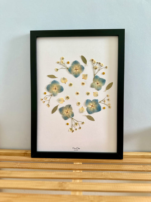 Herbier artisanal de fleurs pressées encadré PenCée composé d’hortensia bleues et gypsophiles 