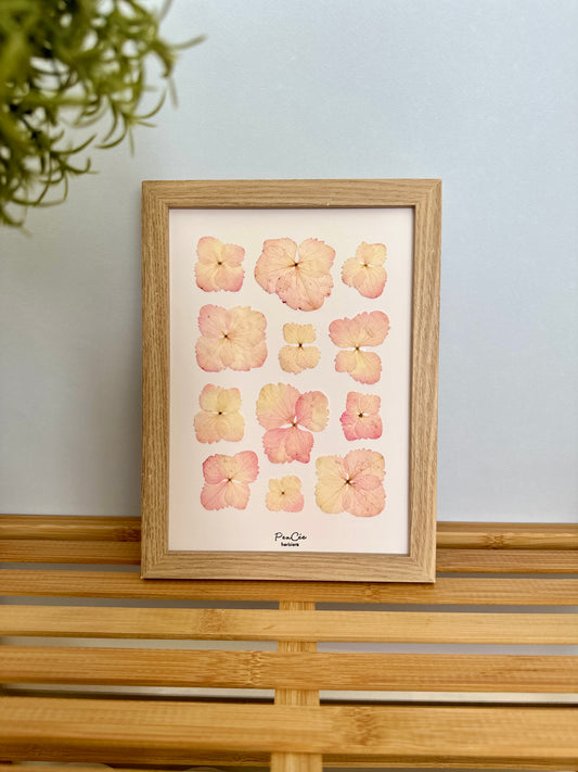 Herbier encadré fait main artisanal PenCée avec fleurs pressées composé d’hortensias 