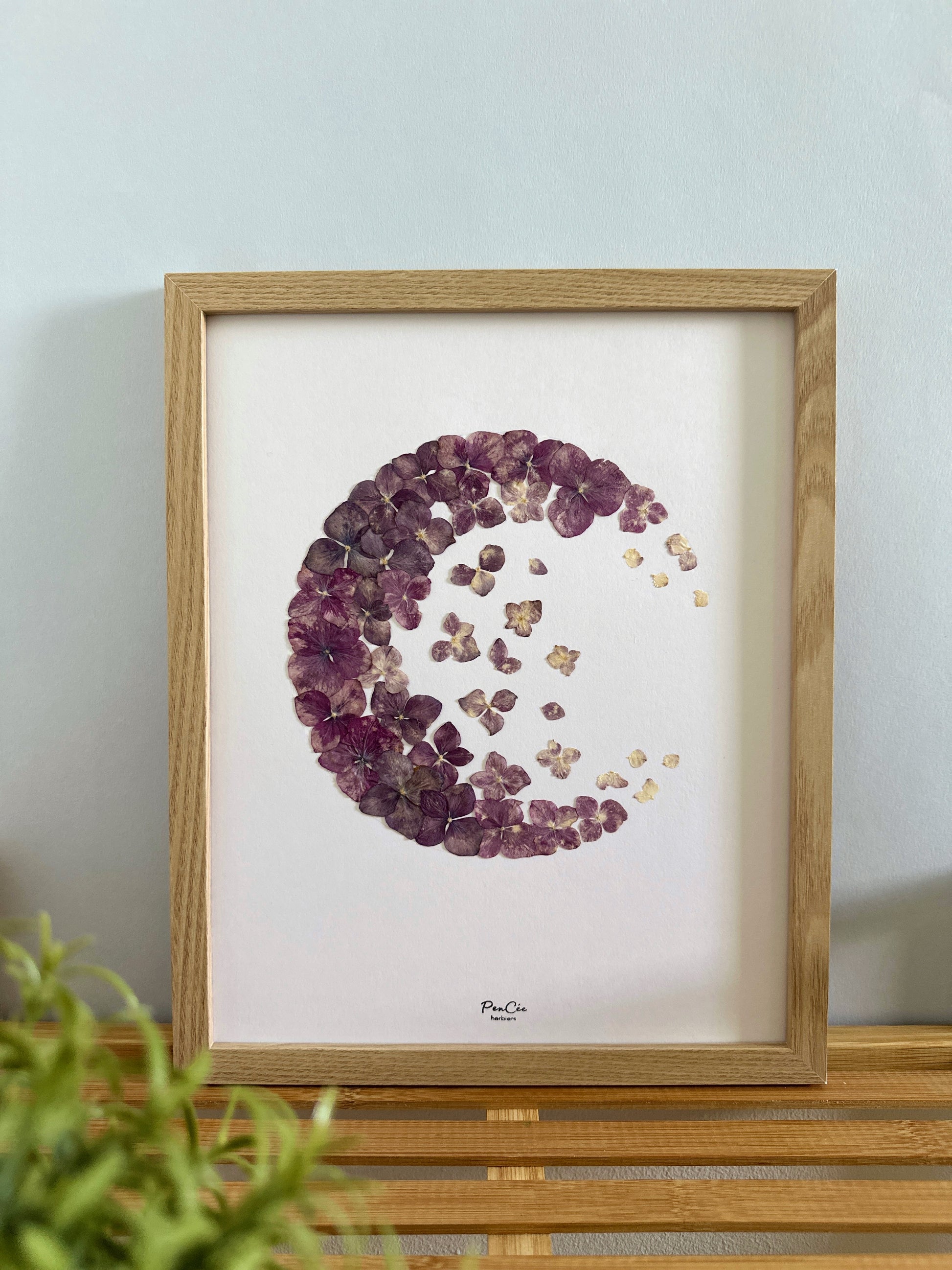 Herbier encadré fait main artisanal PenCée avec fleurs pressées, composé d’hortensias 