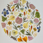 herbier décoratif encadré artisanal PenCée de fleurs pressées et séchées en forme de cercle. Composé de bougainvillier, crocus, hortensia, pensée, dauphinelle. 