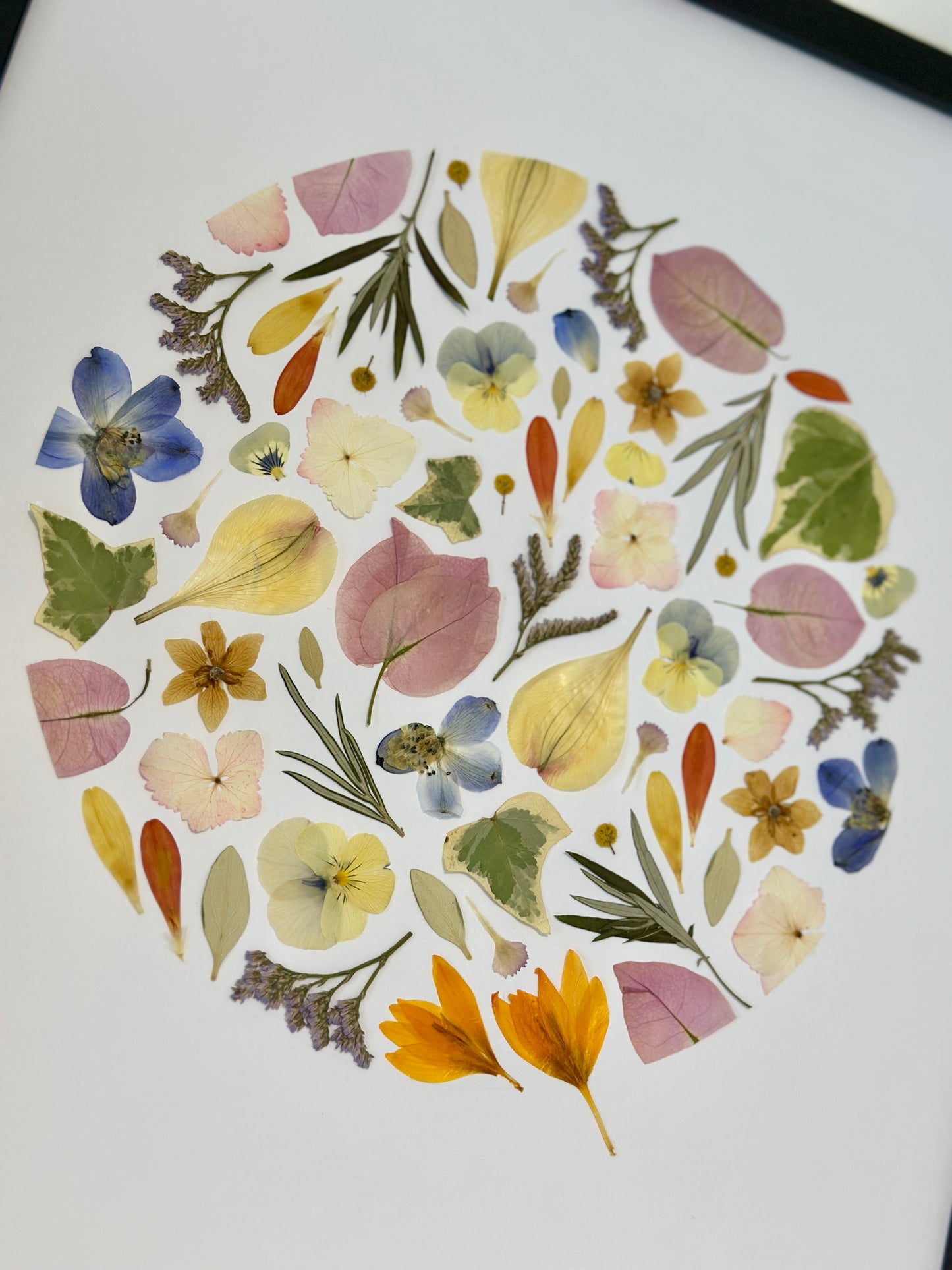 herbier décoratif encadré artisanal PenCée de fleurs pressées et séchées en forme de cercle. Composé de bougainvillier, crocus, hortensia, pensée, dauphinelle. 