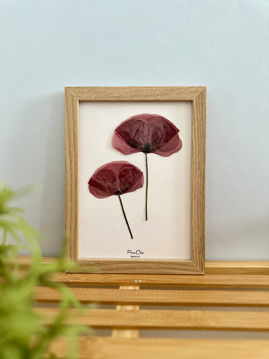 Herbier encadré fait main artisanal PenCée avec fleurs pressées, composé de coquelicots 