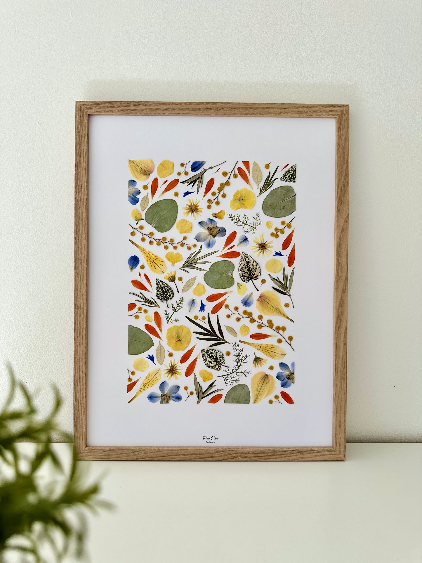 Herbier artisanal encadré PenCée avec des fleurs pressées et séchées. Composé de mimosa, eucalyptus, bleuet, pensée, delphinium, lys des Incas. 