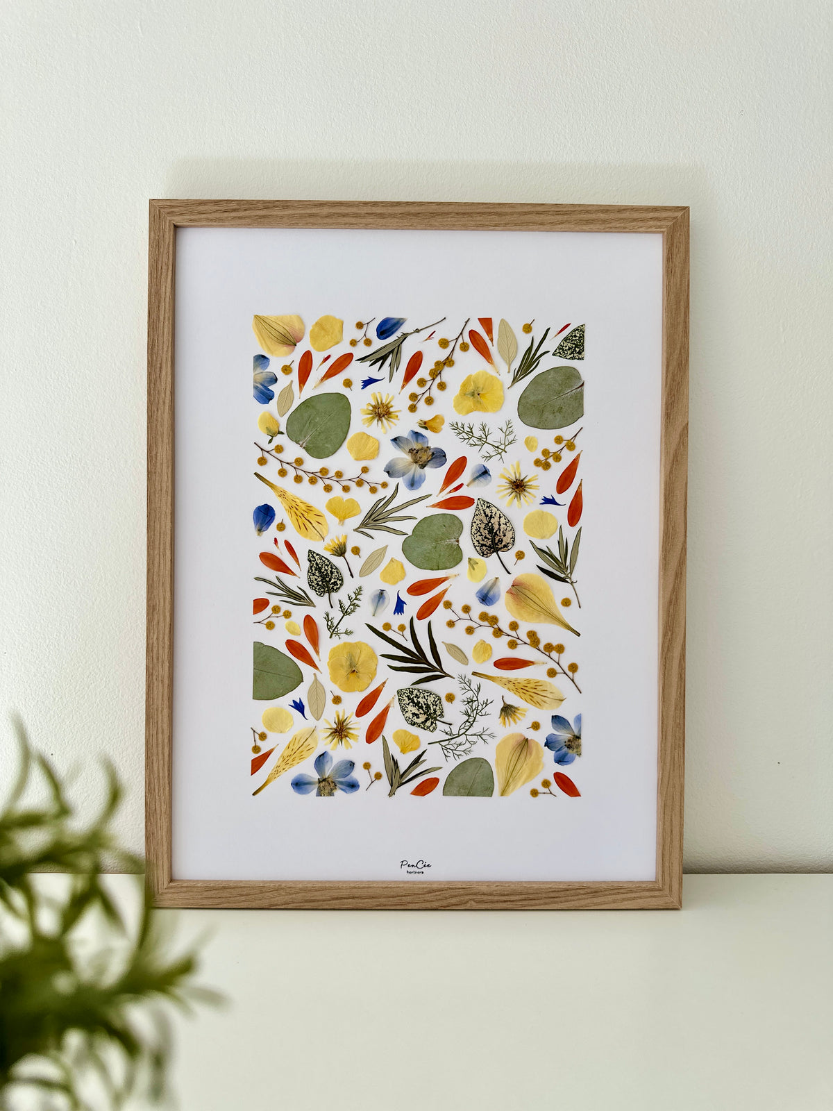 Herbier artisanal encadré PenCée avec des fleurs pressées et séchées. Composé de mimosa, eucalyptus, bleuet, pensée, delphinium, lys des Incas. 