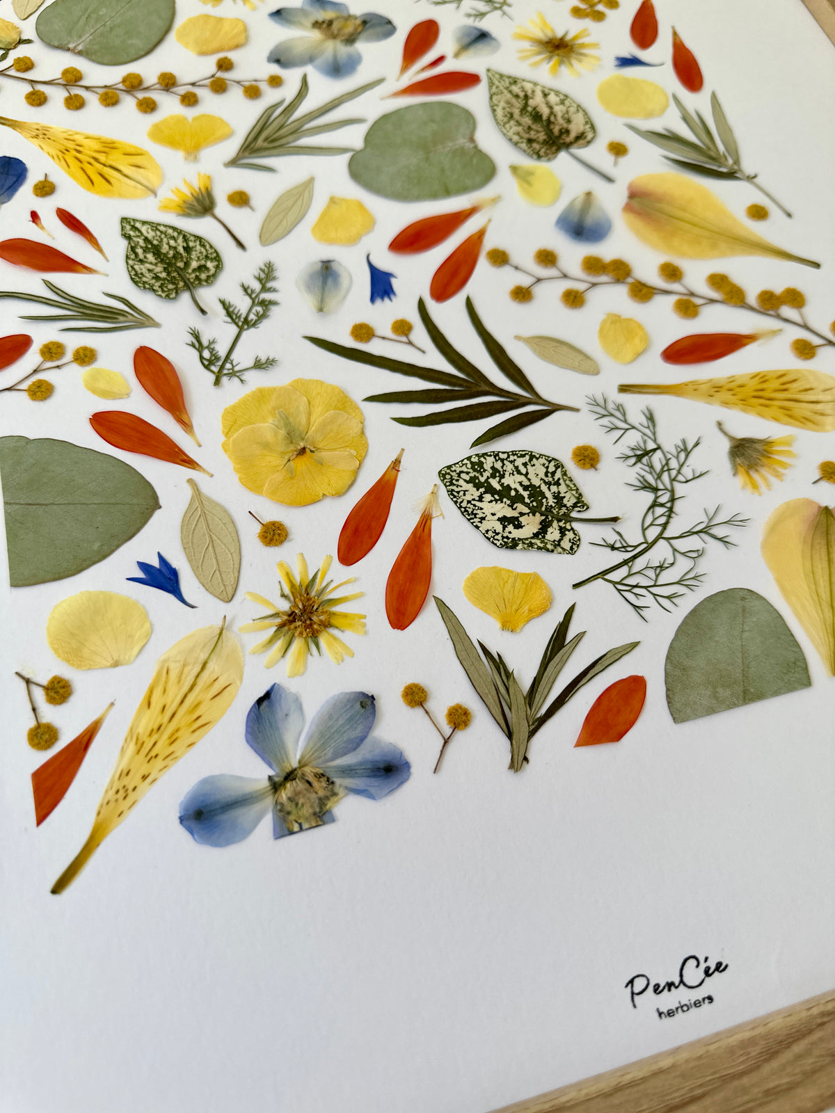 Herbier artisanal encadré PenCée avec des fleurs pressées et séchées. Composé de mimosa, eucalyptus, bleuet, pensée, delphinium, lys des Incas. 