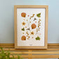 Herbier JARDIN D’ÉTÉ - PenCée