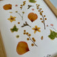 Herbier JARDIN D’ÉTÉ - PenCée