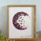 Herbier LUNE